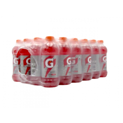 CAJA GATORADE PET 600ML/24U